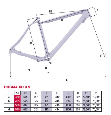 DOGMA XC 9.9 ジオメトリー