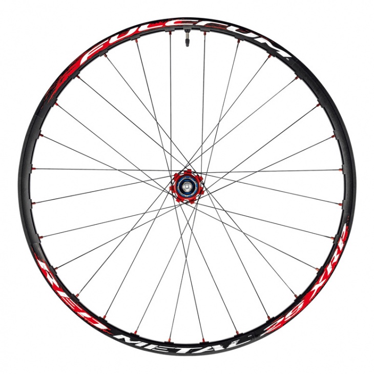 RED METAL 29 XRP リア