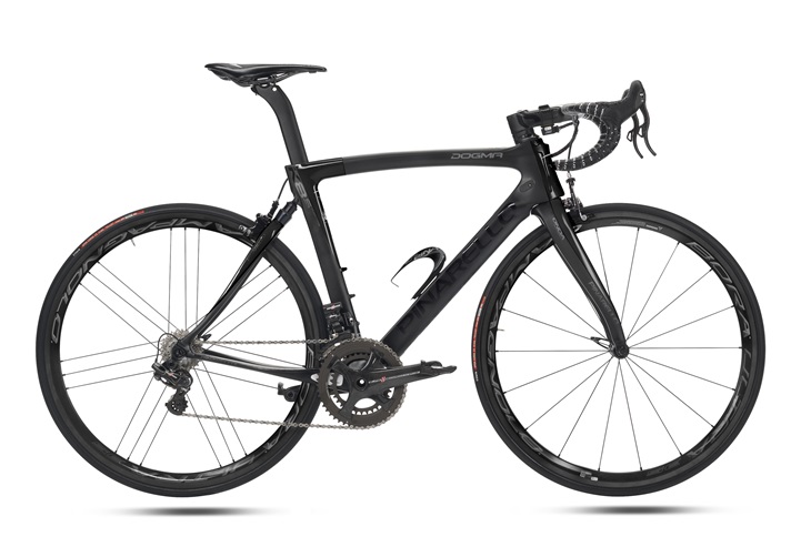 DOGMA K8-S 693/BOB
