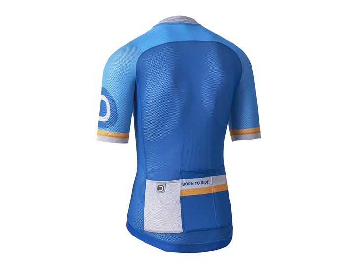 Aero Light Jersey china blue back