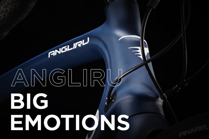 PINARELLO 2021】快適に速く、遠くへ。走破性と優れた振動減衰性による
