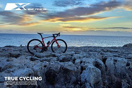 PINARELLO PRIMA基本分解発送送料無料！完成車配送もご相談ください！ ピナレロ通信】#限定カラー 当店のF10を一挙公開！！ | 川崎で
